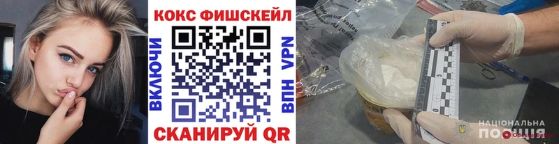 закладка  площадка наркотические препараты  Кокаин FishScale  Барабинск 