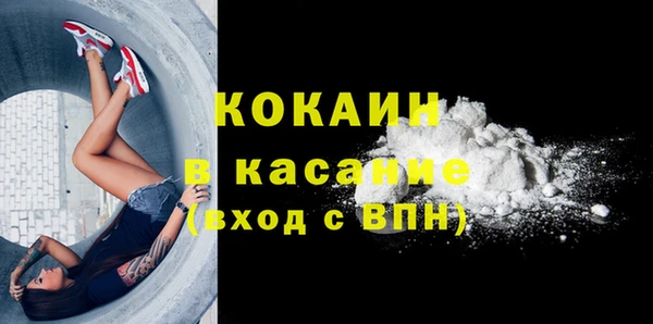 трава Аркадак