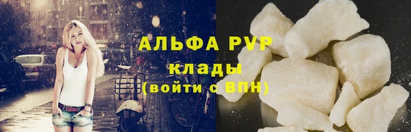 трава Аркадак