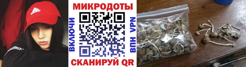 кракен tor  купить наркоту  Барабинск  Псилоцибиновые грибы мухоморы 